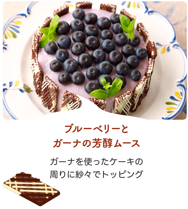 ブルーベリーとガーナの芳醇ムース