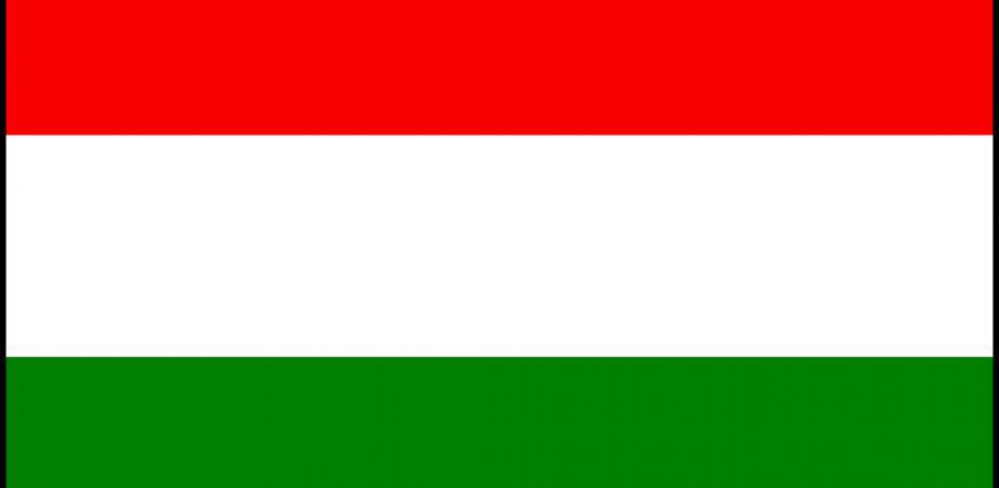 annabelle viene a casa online