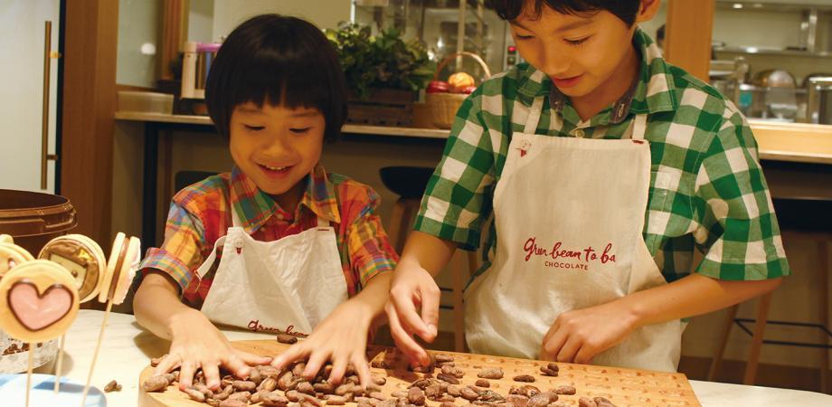家で極上のホットチョコ体験 ダンデライオン チョコレートから ほうじ茶ホットチョコレートミックス が登場 Isuta イスタ 私の 好き にウソをつかない