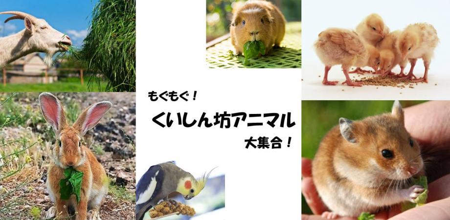 イベント画像