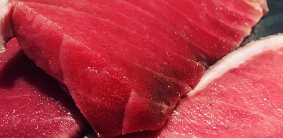月島 時間無制限飲み放題付き 大満足 マグロ尽くし 日本酒 コースを6 000円で Peatix 月島 時間無制限飲み放題付き 大満足 マグロ尽くし 日本酒 コースを6 000円で Peatix