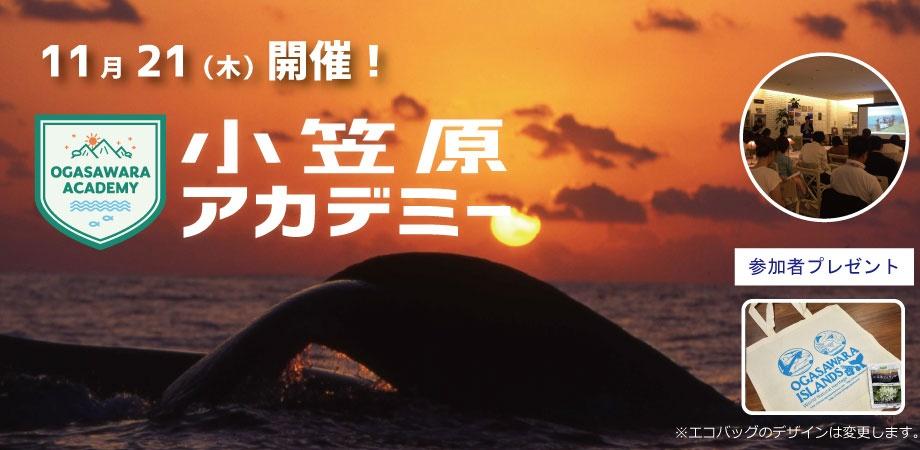 11月開催 はじめての小笠原諸島 旅の魅力をお伝えします お土産付き 小笠原アカデミー 浜松町 Peatix