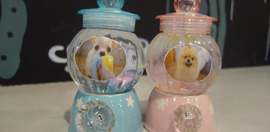 わんわん教室 手作り教室 きらきら スノードーム Peatix