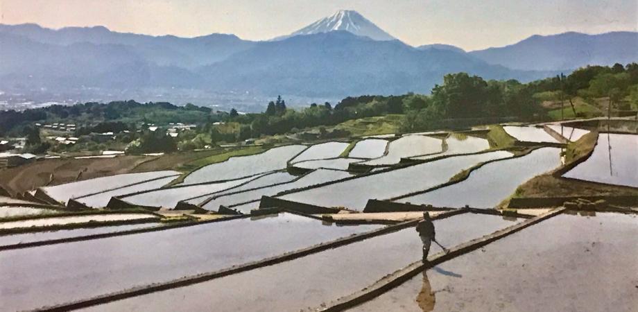 イベント画像