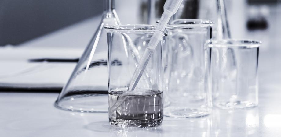【アロマ大学2020 Vol.2】アロマサイエンス学科～実験で学ぶ「アロマの抗菌作用」～