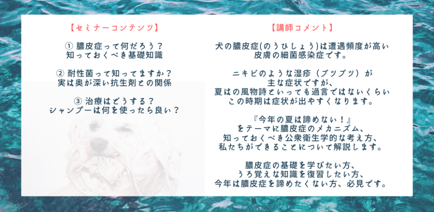 今回のテーマは膿皮症 今年の夏は諦めない Peatix