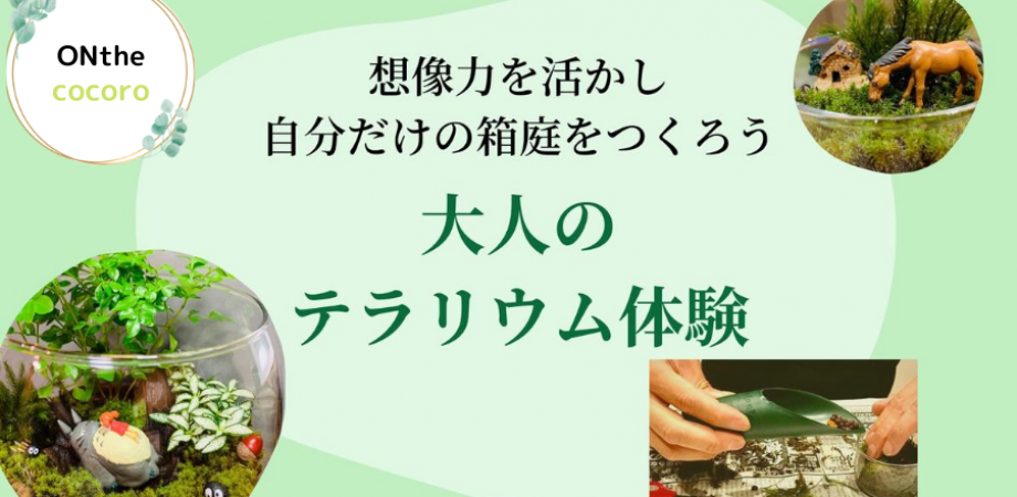 想像力を生かし自分だけの箱庭を作ろう 大人の苔テラリウム体験 Peatix