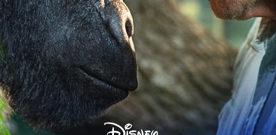 DisneY+〛 VeR gratis El magnífico Iván 2020 pelicula online completa en español latino | Peatix