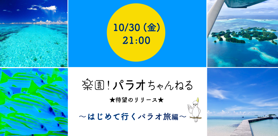 楽園 パラオちゃんねる主催 はじめて行くパラオ旅編 参加費 無料 Peatix