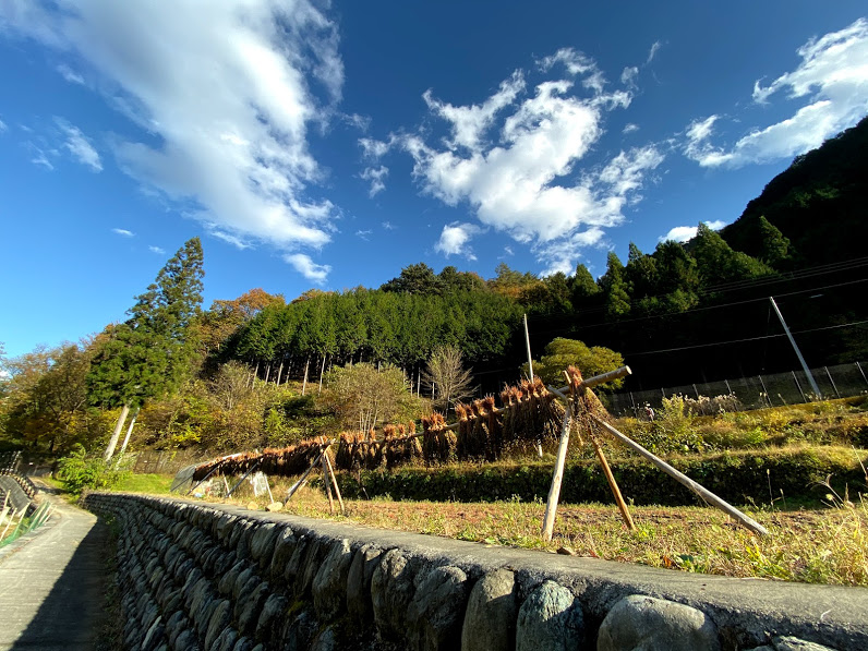 Foodskole オンライン講座 食 を使った地域づくりの始め方クラス 地域活動の手順を考える 入門編 11 19 12 17 全５回 Peatix