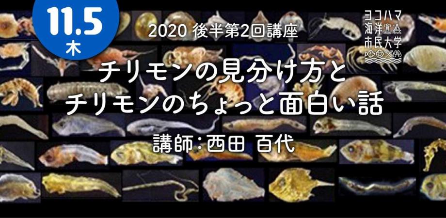年度後半第2回講座 チリモンの見分け方とチリモンのちょっと面白い話 Peatix