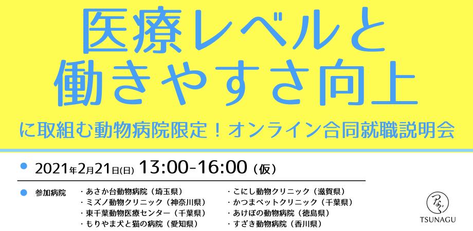 獣医学部・動物看護師を目指す学生のための就活イベント情報発信 