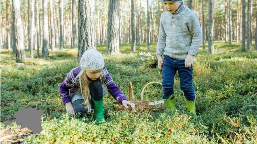 北欧トラベル オンライン ライブトーク 北欧4か国 エストニア 夏の魅力 Peatix
