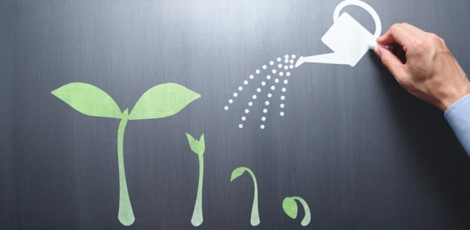 リモートワークでも社員が主体的に動く！今いる人材で最高の成果をあげる人事評価制度 2/19