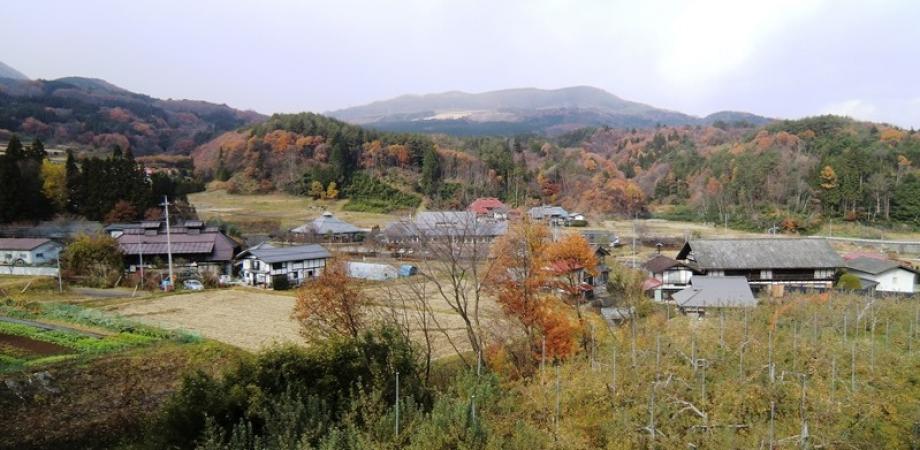 『地域型バイオマスフォーラム　第２回』