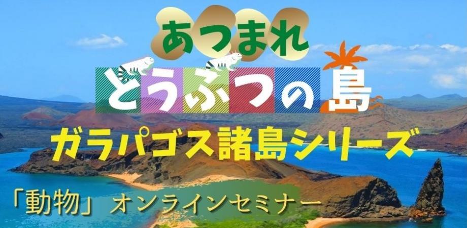 あつまれどうぶつの島 世界遺産ガラパゴス諸島 参加型オンラインセミナーで動物たちと仲良くなろう Peatix