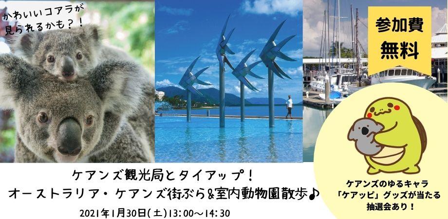 無料 ケアンズ観光局とタイアップ オーストラリア ケアンズ街ぶら 室内動物園散歩 Peatix