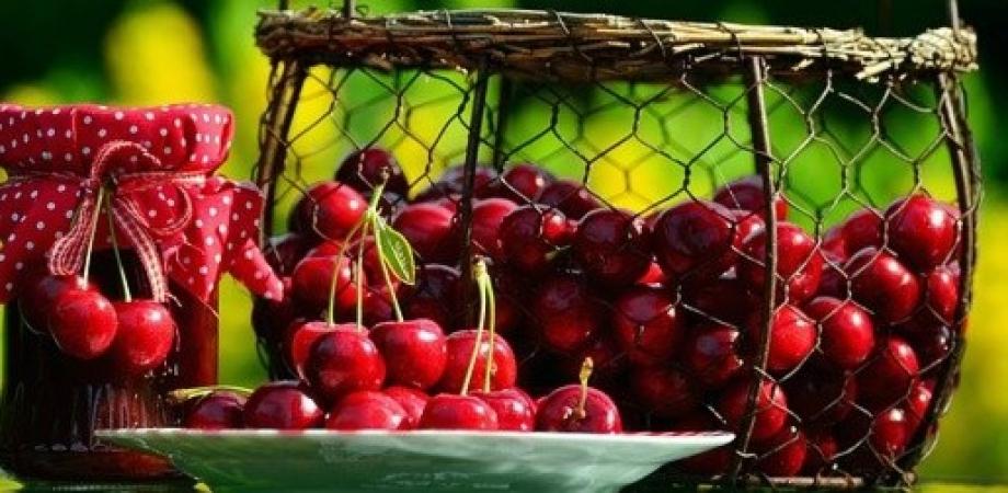 パティス 2021年５月 講習スケジュール Peatix