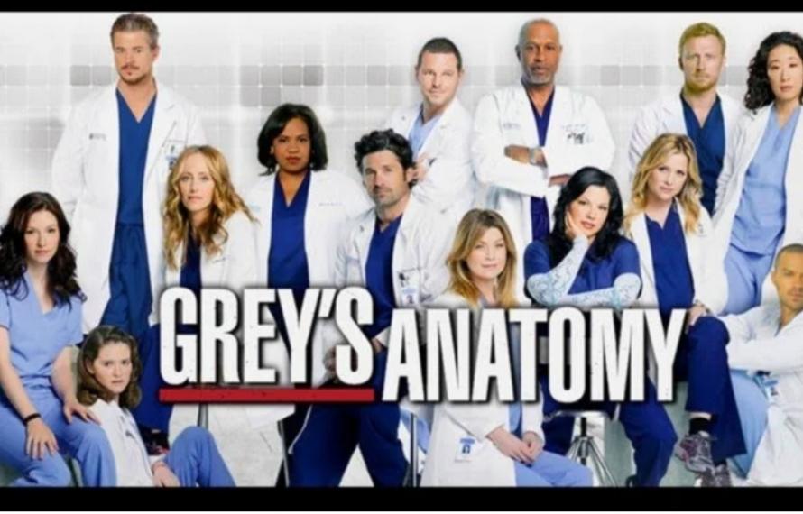 Ver Online Anatomía De Grey Temporada 17
