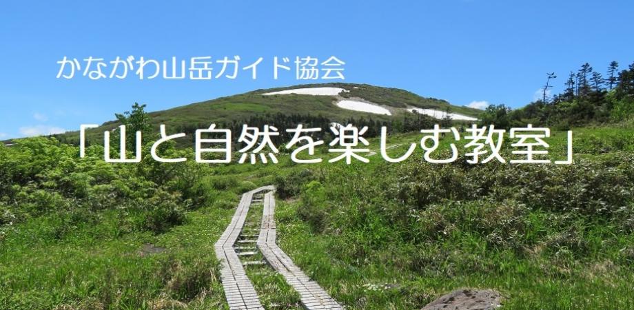 第14回 こどもと楽しむ山登り Peatix