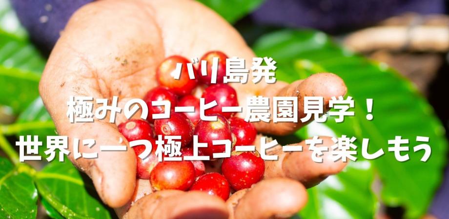 7 4 日 バリ島オンライン コーヒー農園見学 世界に一つしかない極上コーヒーを楽しもう体験ツアー Peatix