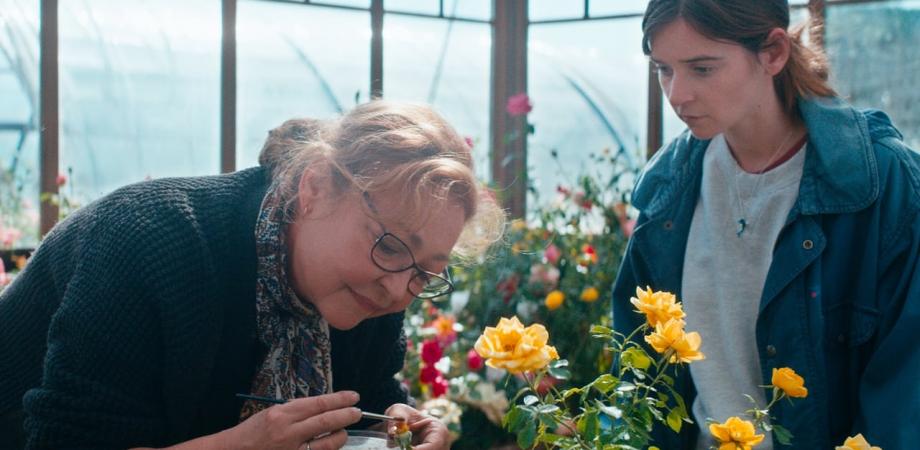 La Fine Fleur Streaming Vf REGARDER,,!! La fine fleur (2021) FILM COmplet en Streaming VF et