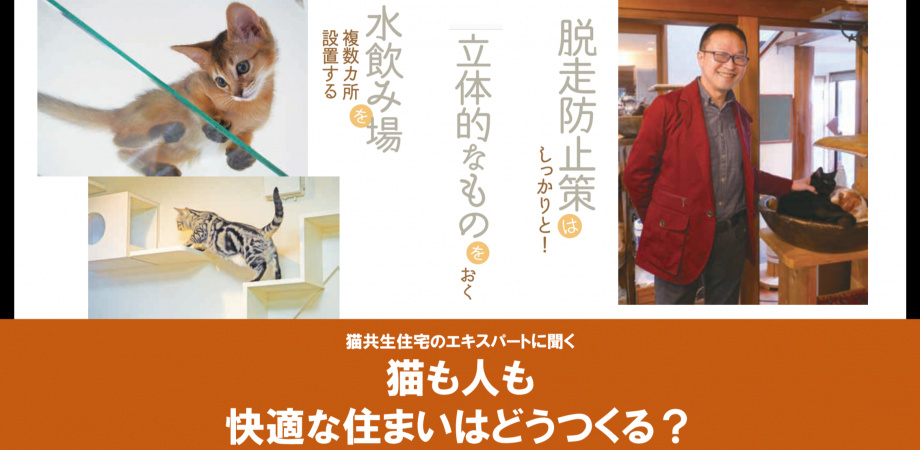 猫共生住宅のエキスパートに聞く「猫も人も快適な住まいはどうつくる 