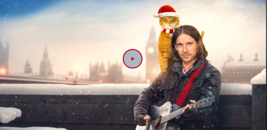 流浪猫鲍勃2 鲍勃的礼物 下载电影 1080p 小鸭香港粤语 2021 Peatix