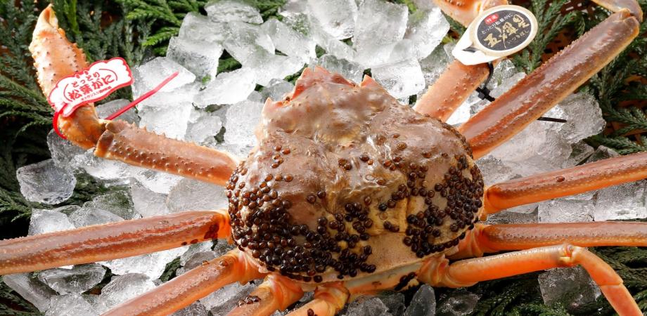 「求む！カニバサダー！！ 松葉ガニを全国に届ける株式会社中村商店がアンバサダーを募集！！」