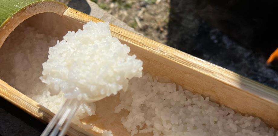 竹で飯盒炊飯体験 | Peatix