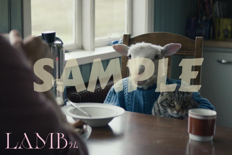 ヴァルディミール ヨハンソン 大島依提亜 奥浜レイラ アダちゃん Lamb ラム ゆるっとネタバレトーク 映画 Lamb ラム ヴァルディミール ヨハンソン監督来日記念 Peatix