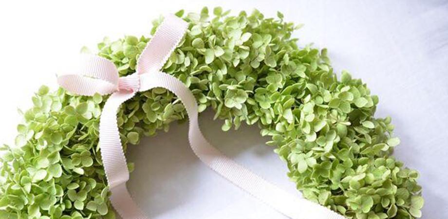 アナベルのリース 木村 紀子 Peatix アナベルのリース 木村 紀子 Peatix