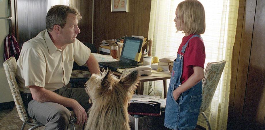 Because Of Winn Dixie A Flashlight Readers Activity