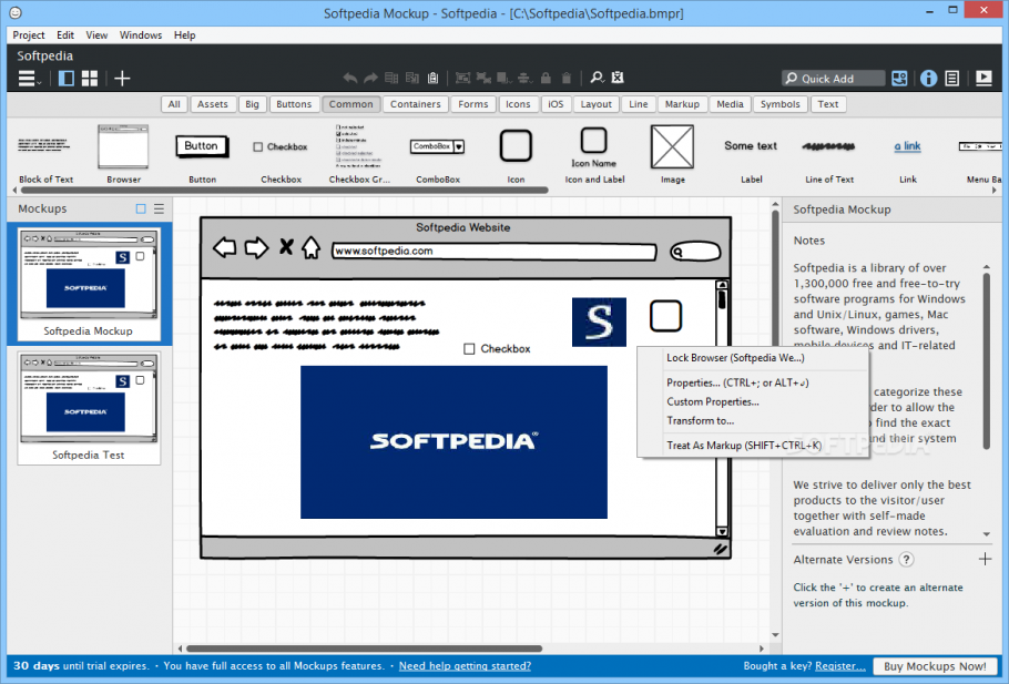 balsamiq wireframes license key free