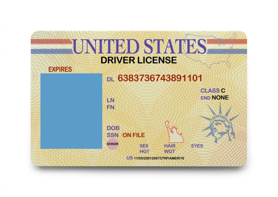 texas drivers license editable template