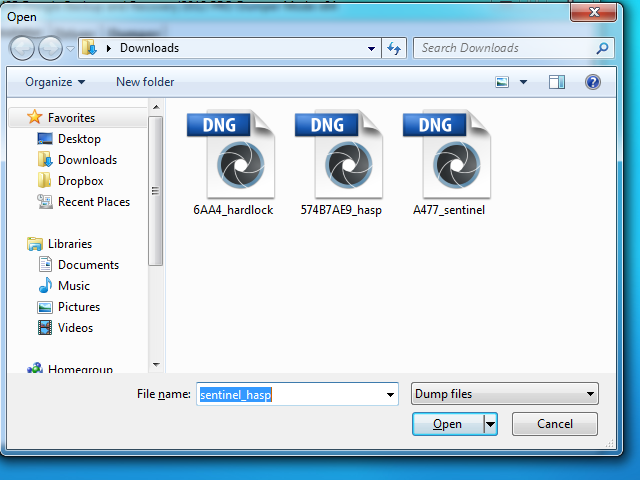 safenet sentinel dongle emulator software