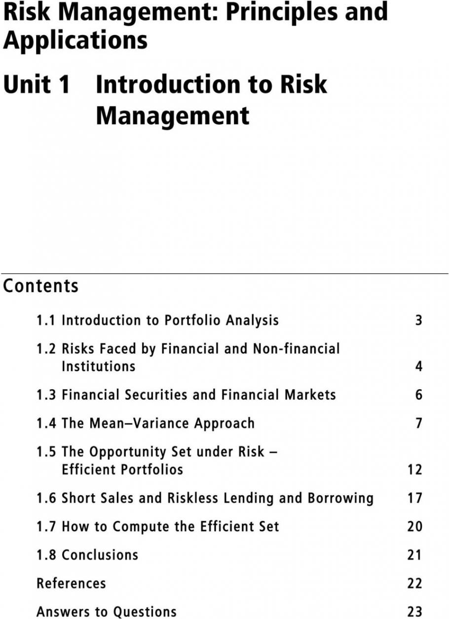 risk management principles pdf