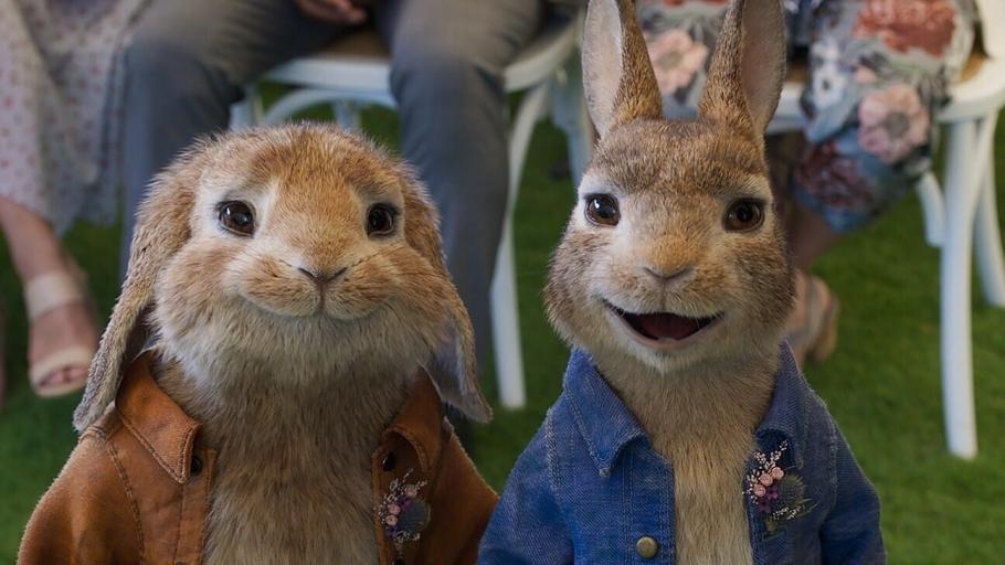 Peter Rabbit 2 Pelicula Completa En Español Youtube