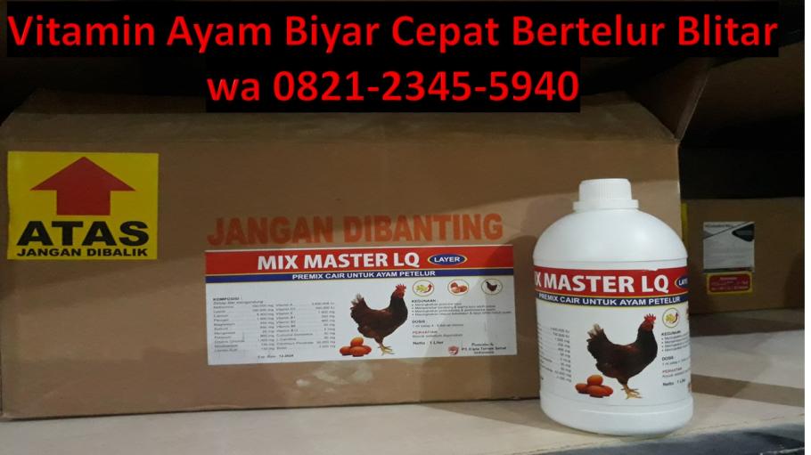TERBAIK, CALL/WA 082123455940, Vitamin Ayam Petelur Agar Cepat