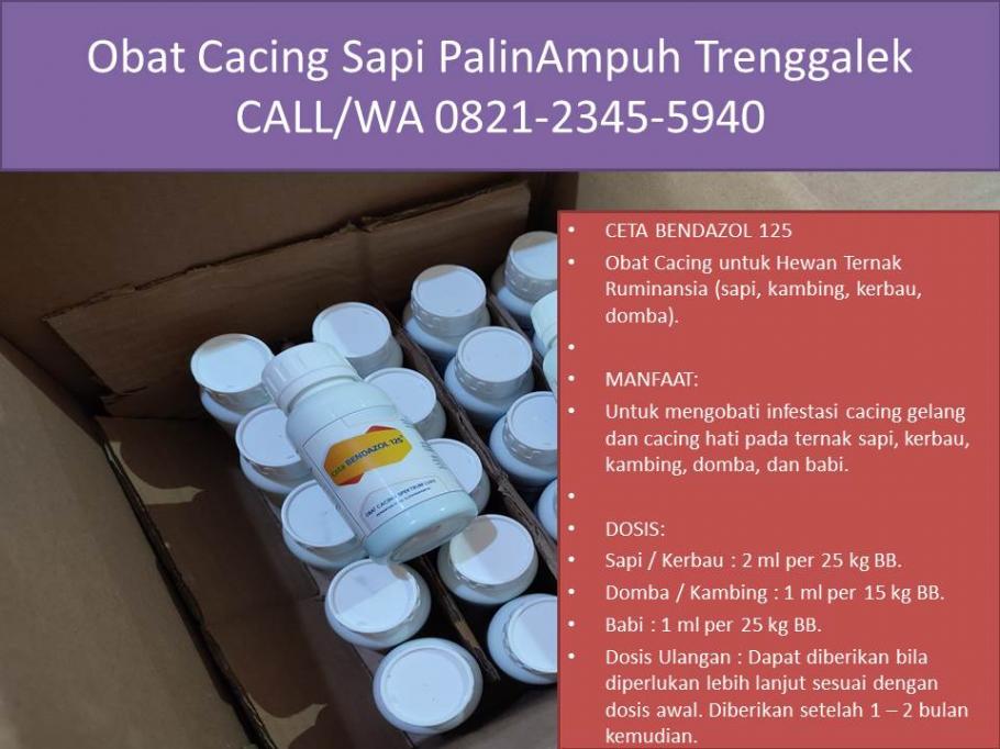 [PROMO DISKON]CALL/WA 0821-2345-5940, Obat Cacing Domba Alami ...