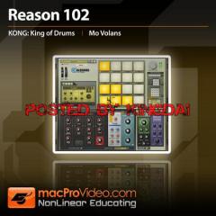 Propellerhead reason 10 download