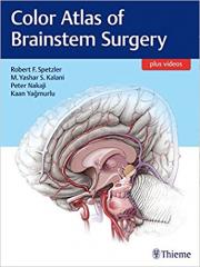 Netter S Atlas Of Neuroscience Pdf Download Peatix
