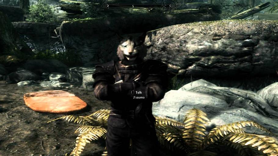 Skyrim Tank Follower Mod Peatix