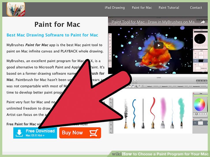 Paint by number software for mac
