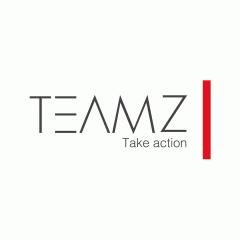 teamz_inc