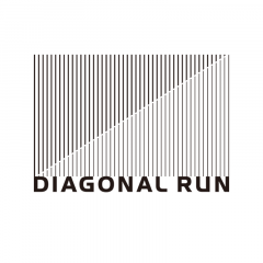 DIAGONAL RUN
