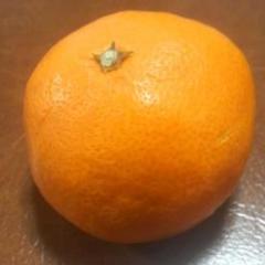 oosaka_mikan