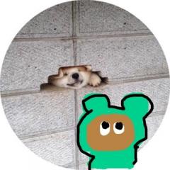 kuma__sama