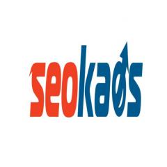 SEO Analiz