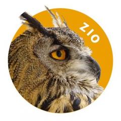 ziozio_tb